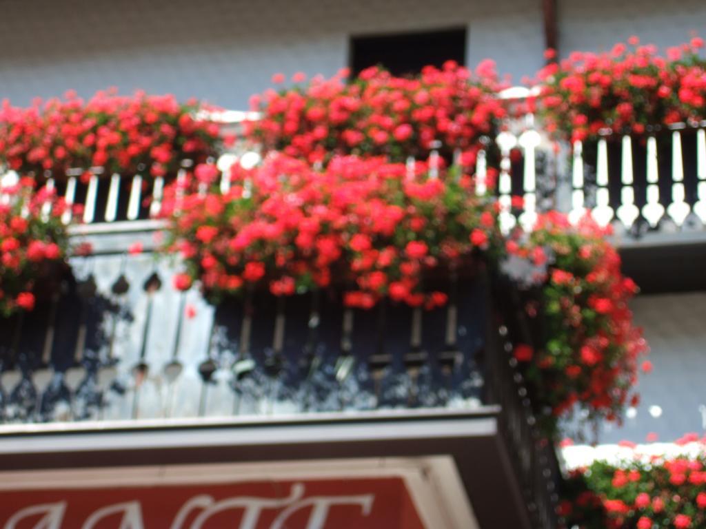 Albergo Trieste Tambre dʼAlpago 部屋 写真